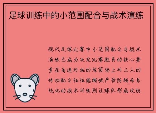 足球训练中的小范围配合与战术演练
