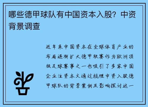 哪些德甲球队有中国资本入股？中资背景调查